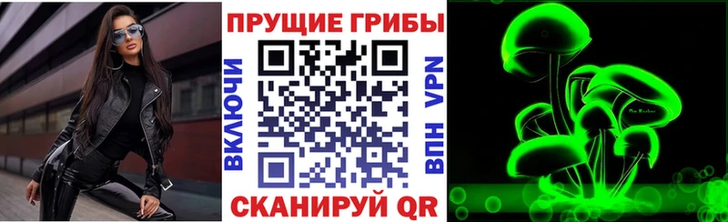 Галлюциногенные грибы GOLDEN TEACHER  hydra рабочий сайт  Сосновоборск  хочу наркоту 