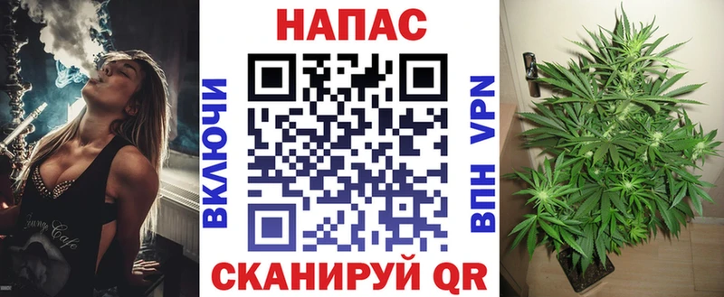Марихуана конопля  Сосновоборск 